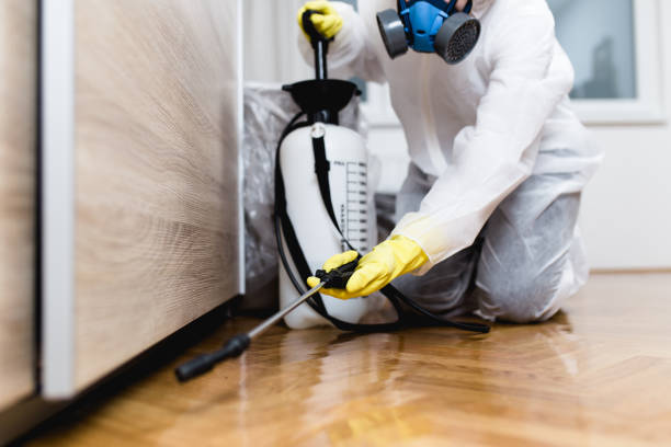 Best Local Pest Control Services  in White Meadow Lake, NJ