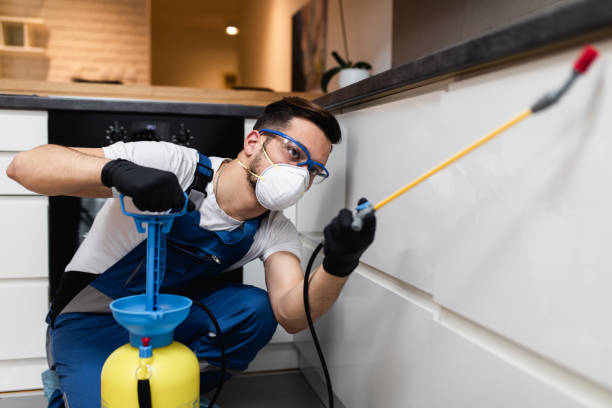 Best Pest Inspection Near Me  in White Meadow Lake, NJ