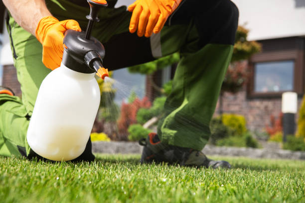 Best Best Pest Control Companies  in White Meadow Lake, NJ