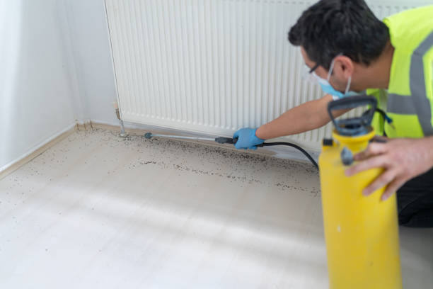 Best Pest Control Near Me in White Meadow Lake, NJ